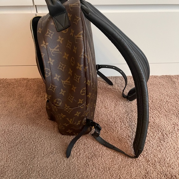 Louis Vuitton Palm Springs MM - Picture 6 of 10